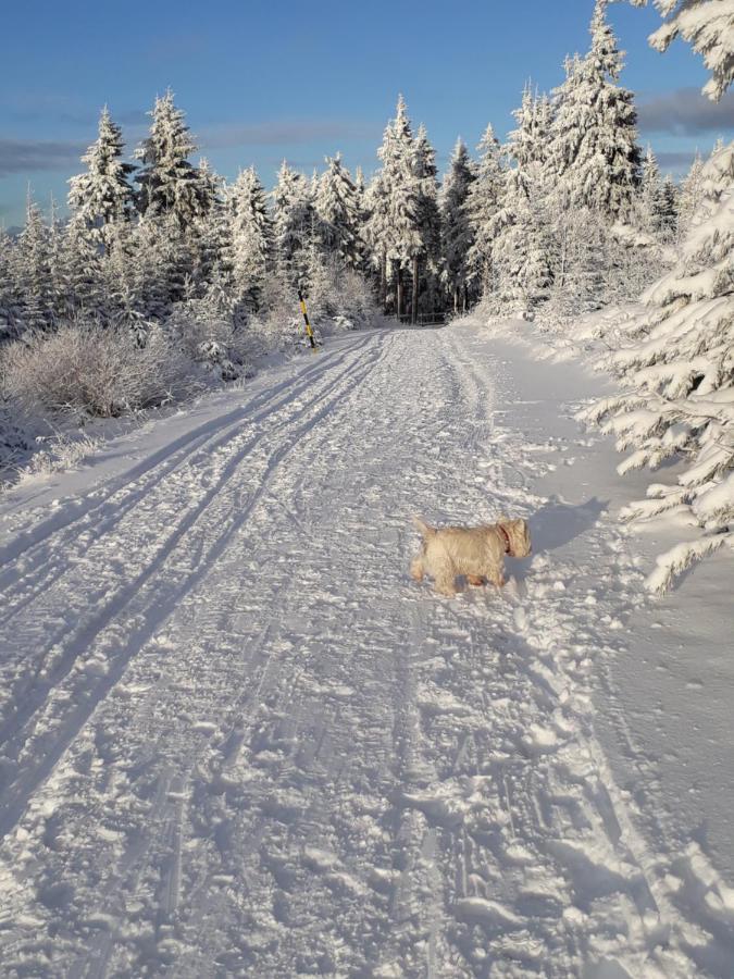 Ferienwohnungen "Am Schloessel" Oberwiesenthal Exteriör bild
